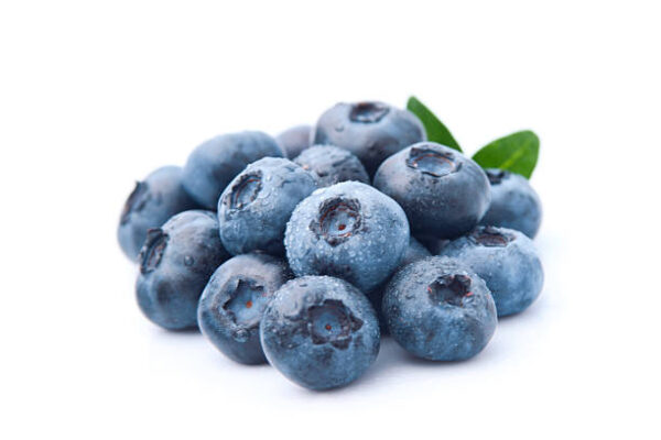 Earliblue (Early variety)