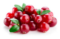 Lingonberry