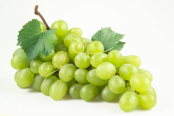 Schonburger