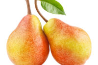 Clapps Favourite