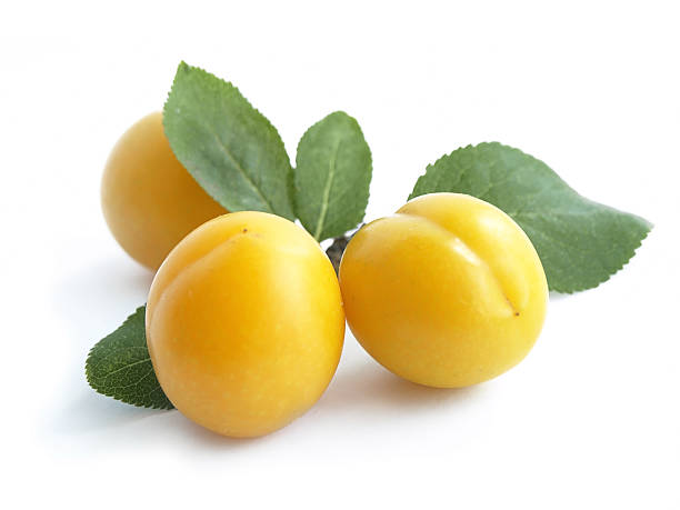 MIRABELLE DE NANCY