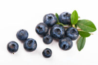 Tifblue (Late variety)
