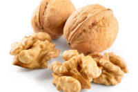 English Walnut (Juglans Regia)