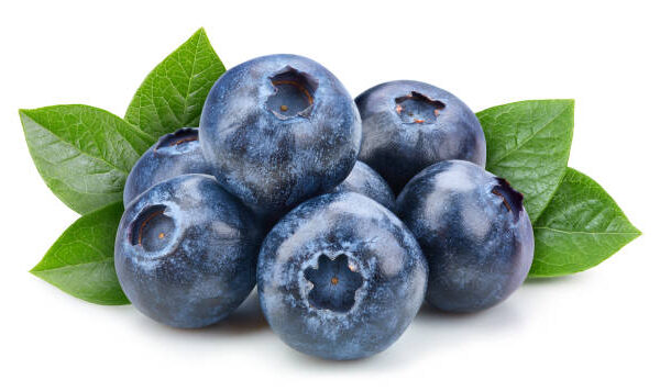Blue Gold (Mid variety)