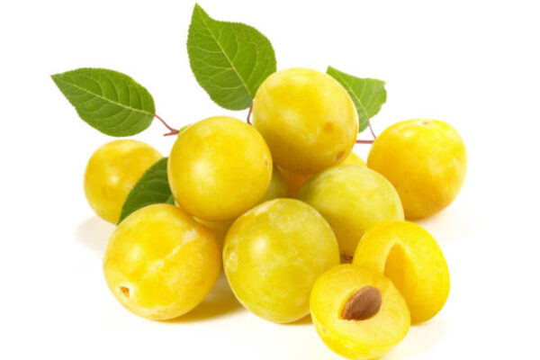 Bellamira