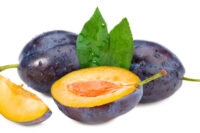 Empress Plum