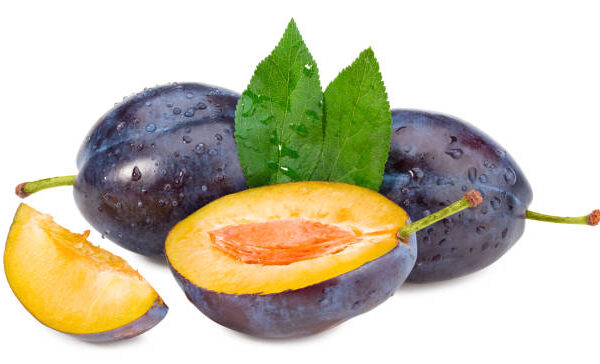 Empress Plum