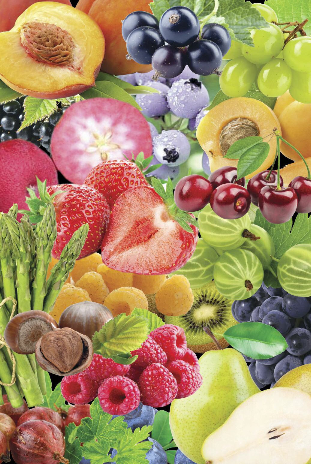 Special Offers English's Fruit Nursery