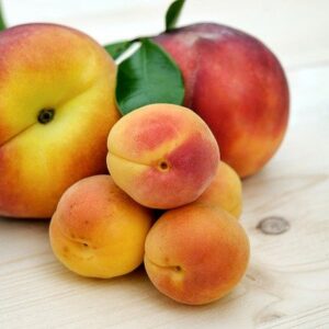 Apricots