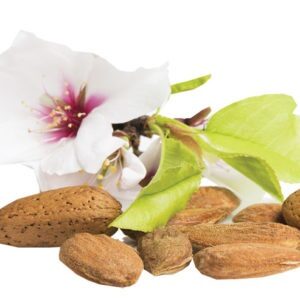 Almond