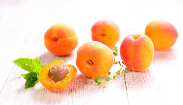 Early Orange