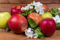 Apple Trees