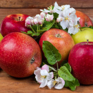 Apple Trees (Acres, M9, M26 & MM106, Crab, Cider)
