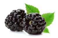 Blackberries