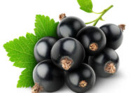 Blackcurrants