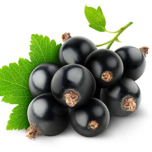 Blackcurrants