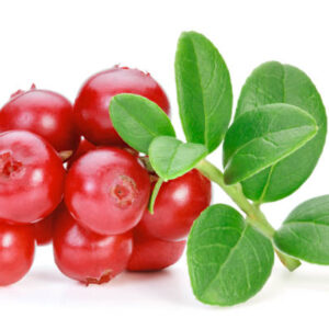 Lingonberries