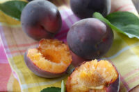 Black Apricot